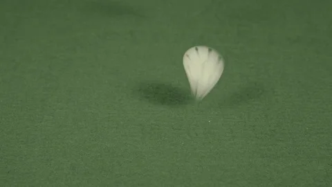Casino chips falling on a table 库存影片 70447118