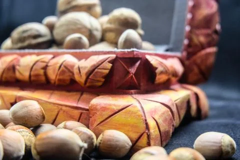 Casket with nuts Stock Photos