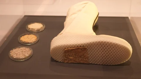 Caskia Growing Mars boot shoe. Liz Ciokajlo (OurOwnSkin) Maurizio Montalti Stock Footage 124668706