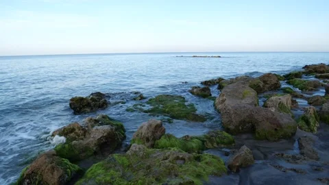 Caspersen Beach Stock Footage 155815162