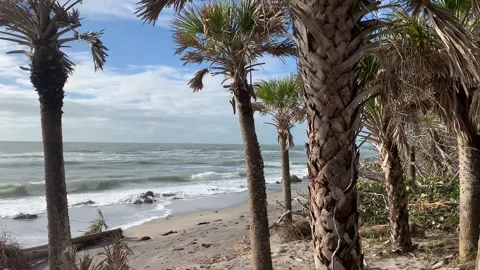 Casperson beach florida usa Stock Footage 259084133
