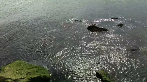 Caspian Sea 2 動画素材 87113530