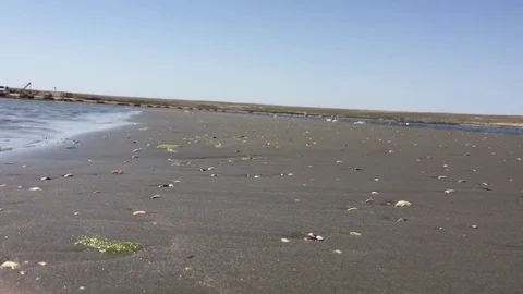 Caspian sea Stock Footage 80505584