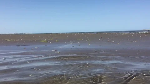 Caspian sea Stock Footage 80505627