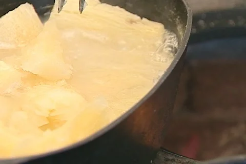 Cassava - 005150026 Stock Footage 845910