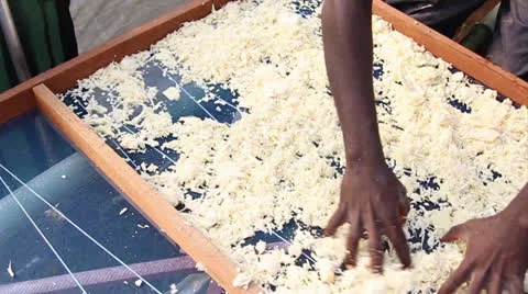 Cassava chips Vídeos de archivo 25488331