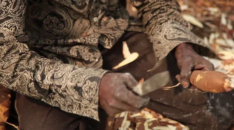 Cassava cleaning Vídeos de archivo 25488676