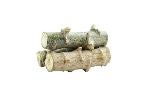 Cassava heap cut, Tapioca tree trunk piece cut, Cassava roots isolated Stock Photos