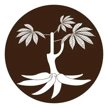 Cassava icon Stock Illustration