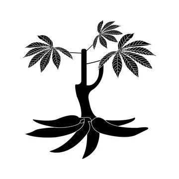 Cassava icon Stock Illustration