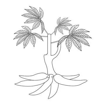 Cassava icon Illustrazione stock