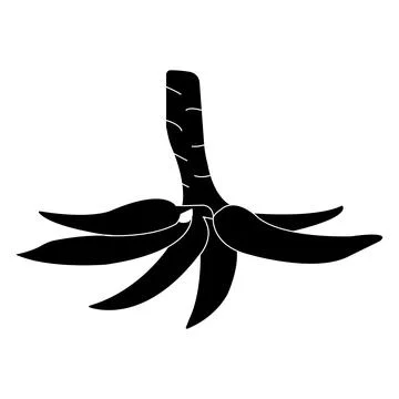 Cassava icon Stock Illustration