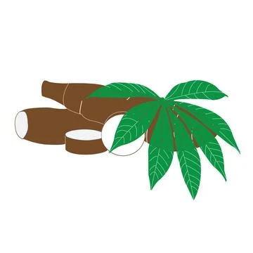 Cassava icon Stock Illustration