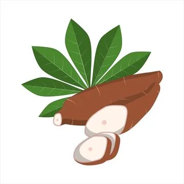 Cassava icon vector Stock Illustration
