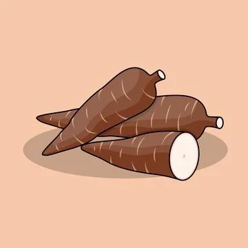 Cassava Stock Illustration