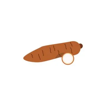 Cassava isolated on white background Stock Illustration