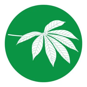 Cassava leaf icon Stock Illustration