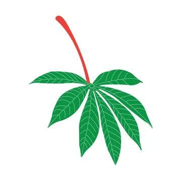 Cassava leaf icon Stock Illustration