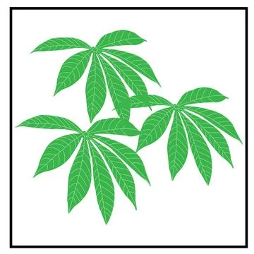 Cassava leaf icon Stock Illustration
