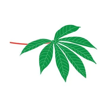 Cassava leaf icon Stock Illustration