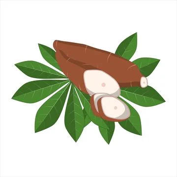 Cassava on a leaf mat vector Stock Illustration