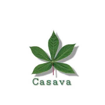 Cassava leaves Illustrazione stock