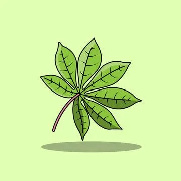 Cassava Leaves Stock Illustration