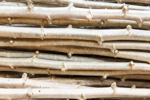 Cassava Stock Photos