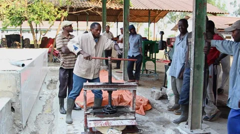 Cassava press wide Vídeos de archivo 37022807