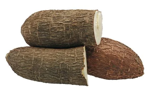Cassava root isolated on white background Stock Photos