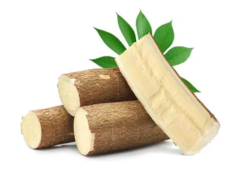 Cassava root isolated on white background Stock Photos