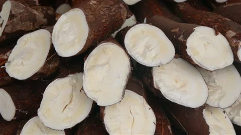 Cassava Roots Cut Into Pieces And Stacked In A Pile For Sale At The Market Stock Footage 167606904