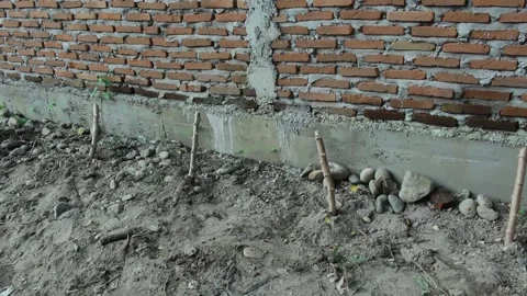 Cassava trees are planted in sandy and rocky soil Stock Footage 197645135