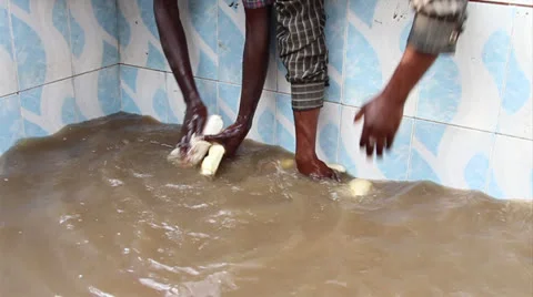 Cassava wash slow motion Vídeo Stock 25488649