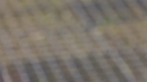 Cassettes for growing seedlings with a closed root system Video stock 110826899