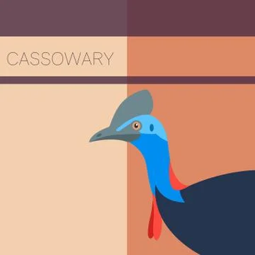 Cassowary Flat Postcard Stock Illustration