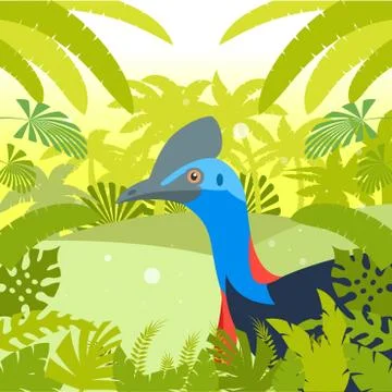 Cassowary on the Jungle Background Stock Illustration