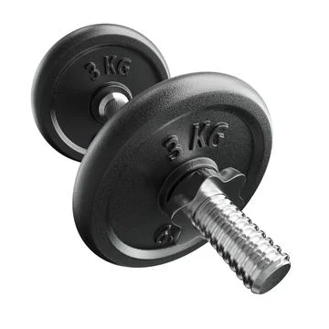 Cast Iron Black Adjustable Dumbbell, weightlifting gym equipment, side view Illustrazione stock