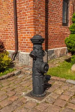 Cast iron fire hydrant with the image of an animal on a background of a beaut Foto stock