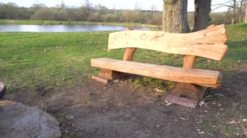 Cast-iron fire pit by the lake. Stock Footage 334943783