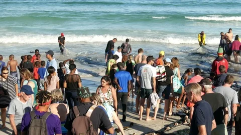 Cast net fisherman pulling nets on seashore with blue sea behind and people 库存影片 102759523