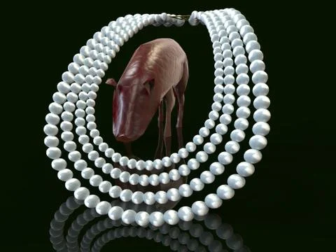 Cast pearls before swine 3d rendering Stock Illustration