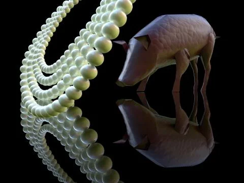 Cast pearls before swine 3d rendering 库存插图
