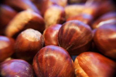 Castañas chesnuts Foto stock