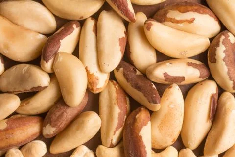 Castanha do Para Stock Photos
