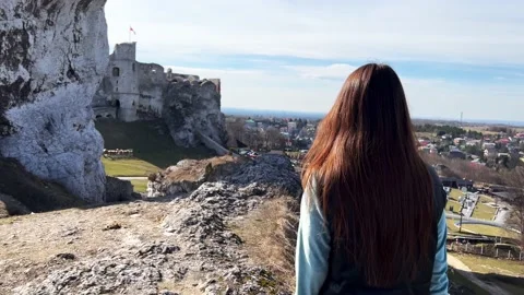 Castel Stock Footage 237315603