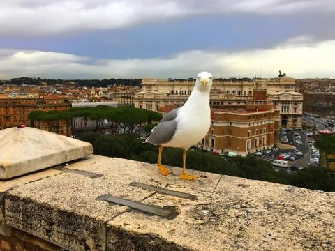 Castel Sant'Angelo Stock Photos