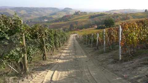 Castello della Volta, in the langhe region of Piedmont, Italy. 库存影片 167563398