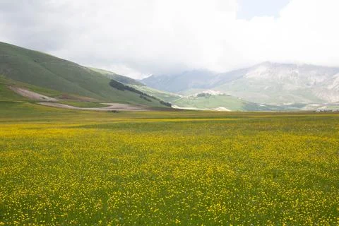 Castelluccio Stock Photos