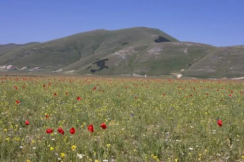 Castelluccio Stock Photos